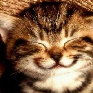 Meet your Posher, Helen